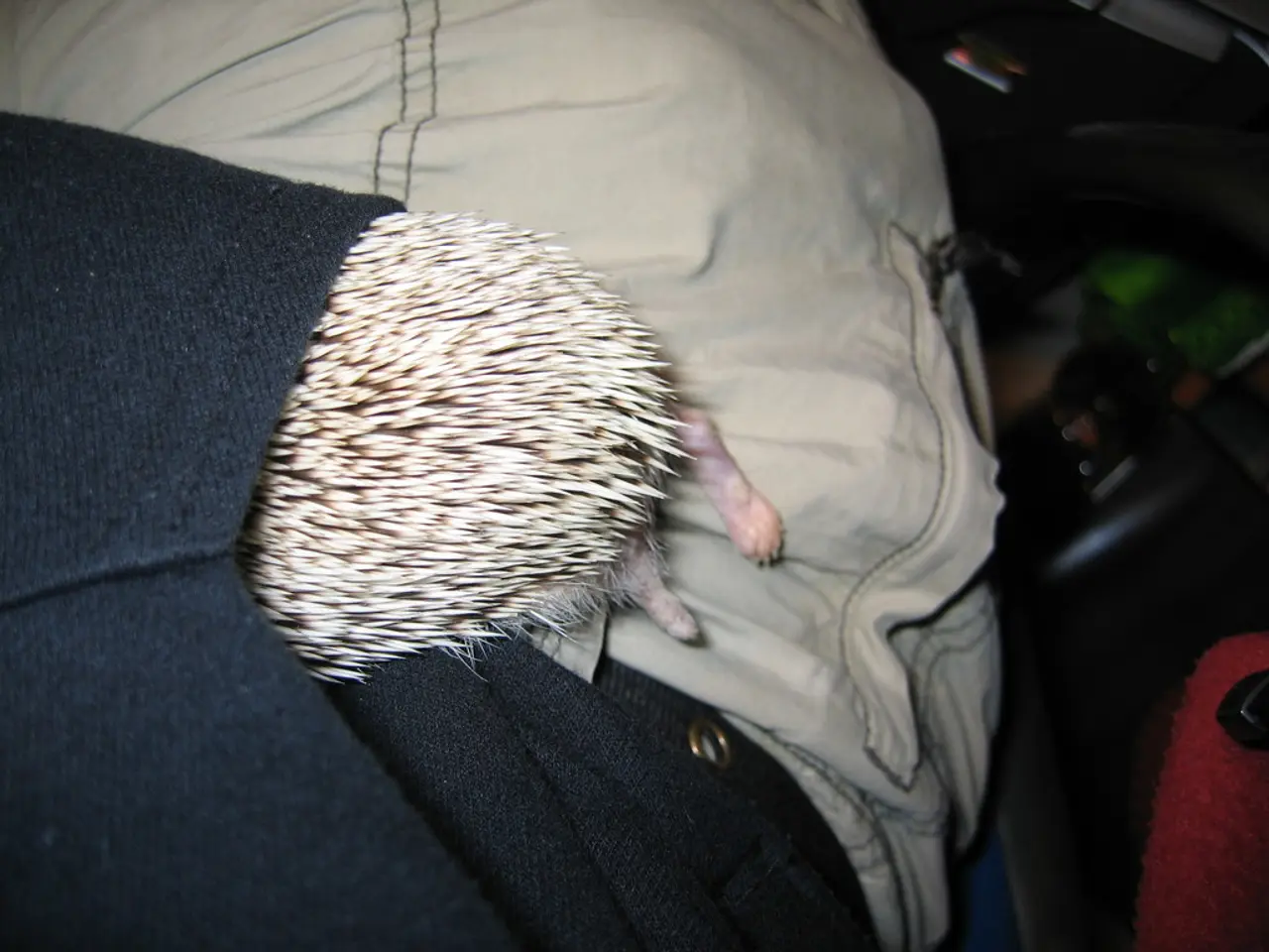 Assessment of Patagonia's Nano Puff Hoody