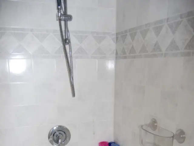 Choosing the ideal showerhead isn't just about appearances; learn how to select the perfect one for...
