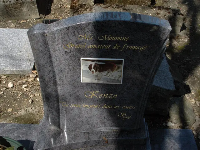 Polls on Supernatural Phenomena Unveiled - Discovering Opinions on Temporal Transit Feasibility