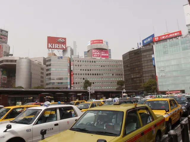 Disruptions in air travel, road blocking, and on railway tracks...