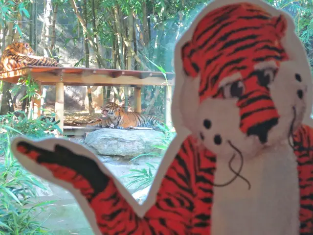 "Tiger Balm" and Catacombs: How Vladislavs Astonish Tourists and Conceal Their Secret Spots