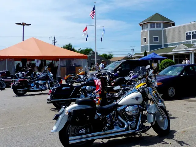 Understanding electric hook-ups for campervans: Are they necessary?