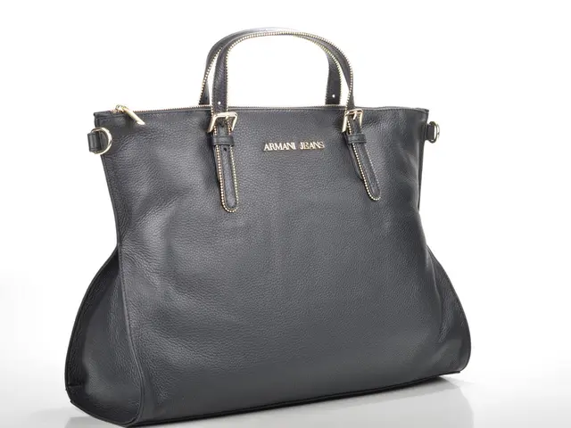 Airlines Begin Hiking Costs for Carry-On Luggage in September - "September price rise for carry-on...