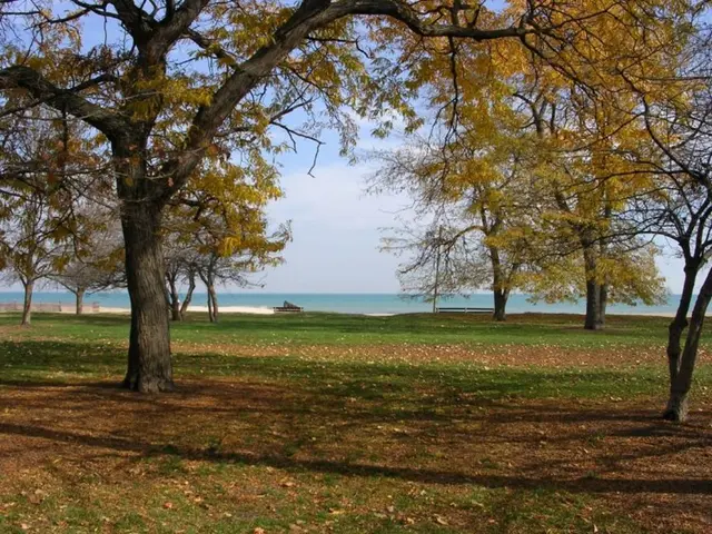 Bayside camping opportunity in a state park halfway between Santa Barbara and Monterey, California...