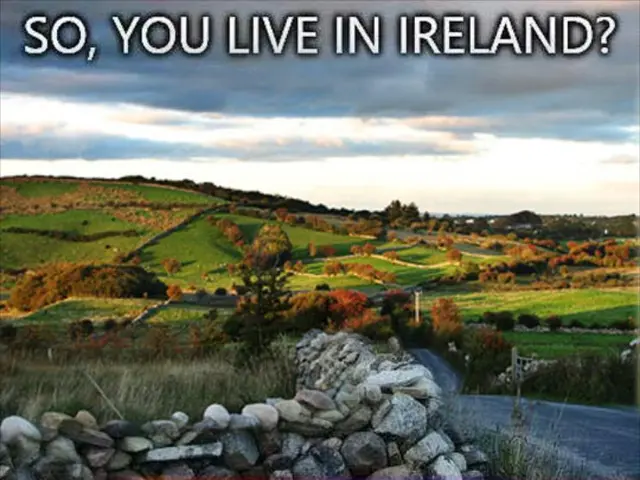 Wildfire devastations in Manitoba reportedly inflicting significant financial tolls upon lodge...