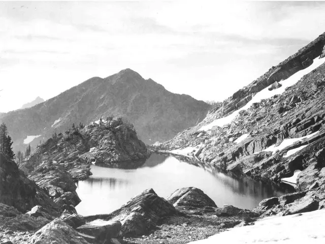 Top Wildflower Walks Close to Breckenridge