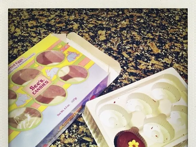 Agricultural Learning Centers and Child-Focused Agricultural Learning Venues in Lecce