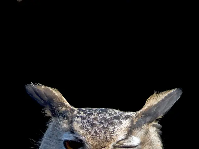 Strategies for Efficient Nighttime Productivity: Top 10 Tips for Peak Performance and Victory