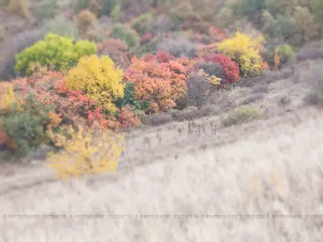 Thriving in Moisture: Discovering Plants That Thrive in Wet Soil