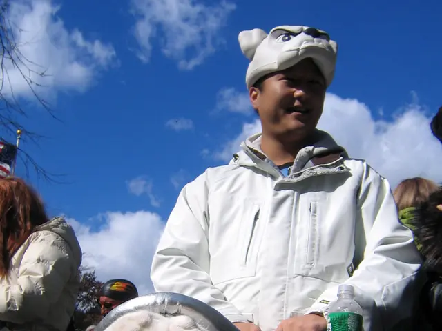 Vacationing with Pets: Top Strategies for a Stress-Free Trip with Your Furry Companions