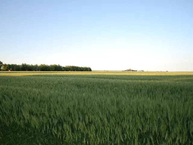 Guidance on Exploring Killarney National Park