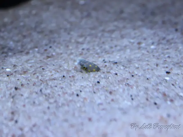 Adventure seekers beware: Which locations around the globe pose the greatest threats?