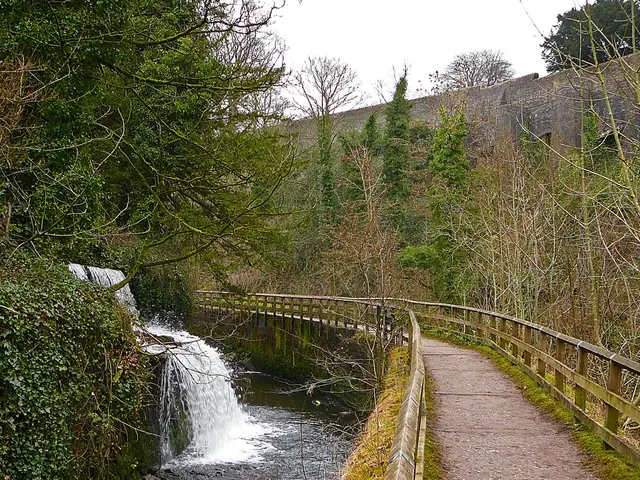 Niagara Falls: Which Side Takes the Crown between Canada and American Sides?