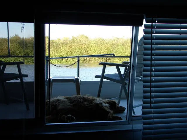 Vacation Destinations for Pet Owners: A Travel Guide