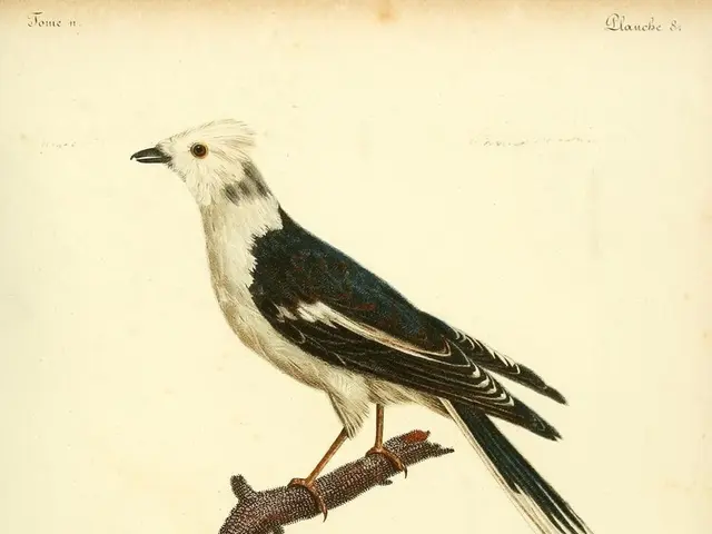 Reflective Moments on the Vitality of Gratitude and Appreciation: Embrace Thankfulness Year-Round...