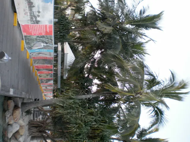 "10 tools to arrange and Illustrate layouts for your imminent journey"