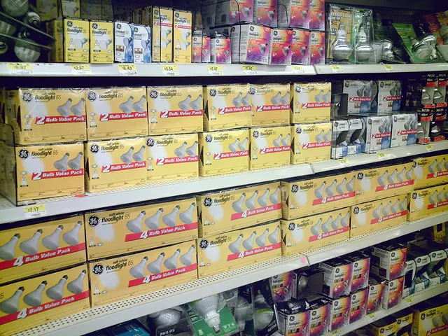 Best Grow Lights for Seedlings Offering Promises of Robust Beginnings