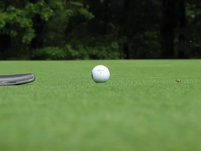 Tending to Eco-Friendly Moss Ball Gardens | Exploring Kokedama Moss Ball Horticulture (Japanese...