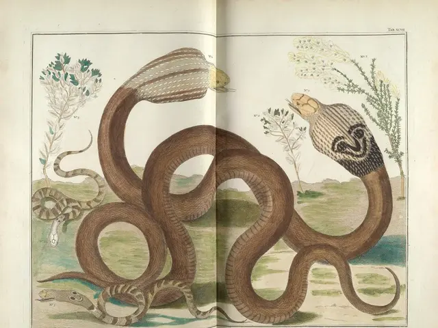 Snakes in Escapade: Trapped Reptiles Emerge on Frequented Vacation Isle