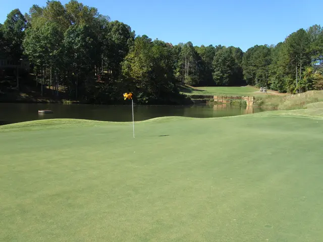Enjoying the Lake Life, Full of Tomatoes
