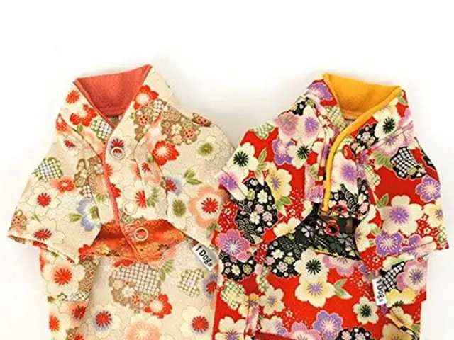 Red attire was the defining choice for Jamie Lee Curtis at the Freakier Friday premiere, as she...