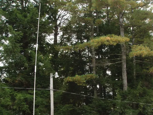 Discount code unveiled for the Motorhome and Caravan Show 2025 avoids being missed out on