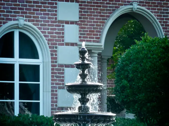 Advocacy for the Bronic District: Justifying Its Strengths and Importance