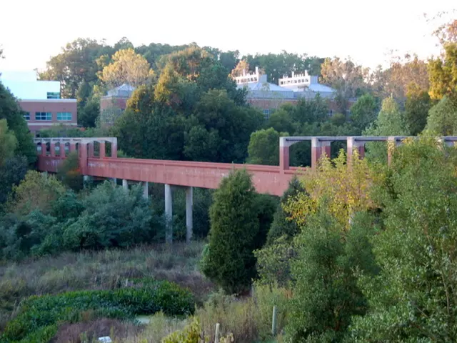 Stargazing enthusiasts find a heavenly escape at the Natural Bridges National Monument