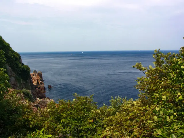 Top Preferred Shade Trees for Sustainable Landscapes in Warm Regions