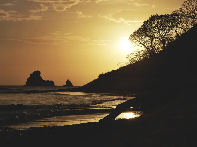 Beach and Jungle Murder Mysteries: Eight Exciting Thrillers Set in Secluded Islands