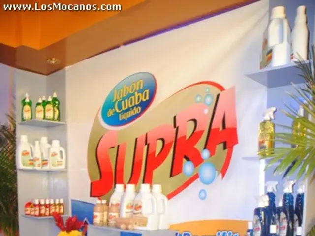 Revamped Branding Templates: Guidelines, Advice, and Illustrations Provided