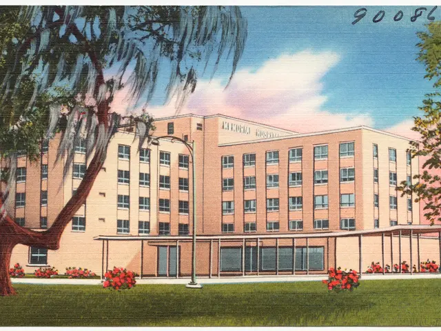 A Cinematic Reinterpretation: Sirât, the Art House Adaptation of Mad Max