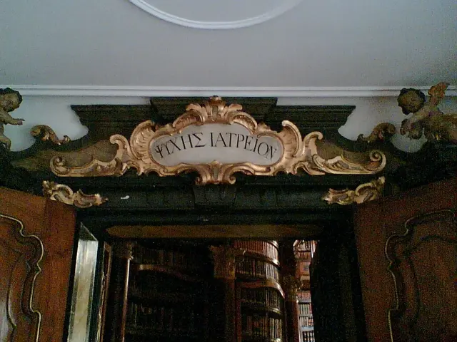 The Old Court's Info Point is a must-see: Uncover the reasons behind its allure.