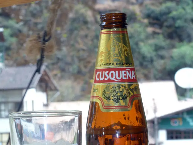 Hidden Gem Californian City Near the Shore Showcases Vineyards and Retro Atmosphere