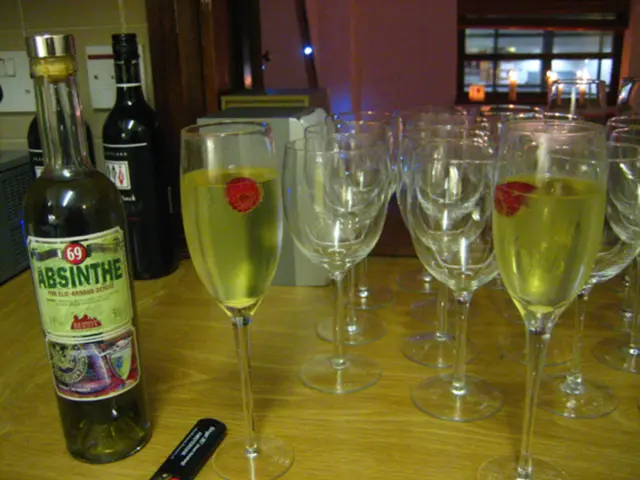 Tourism Division of the United Nations Concludes Formal Visit in Bulgaria and Announces Appointment...