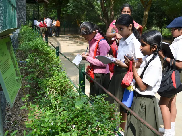 Tales and Techniques: Creative Writing Inspiration for the Young