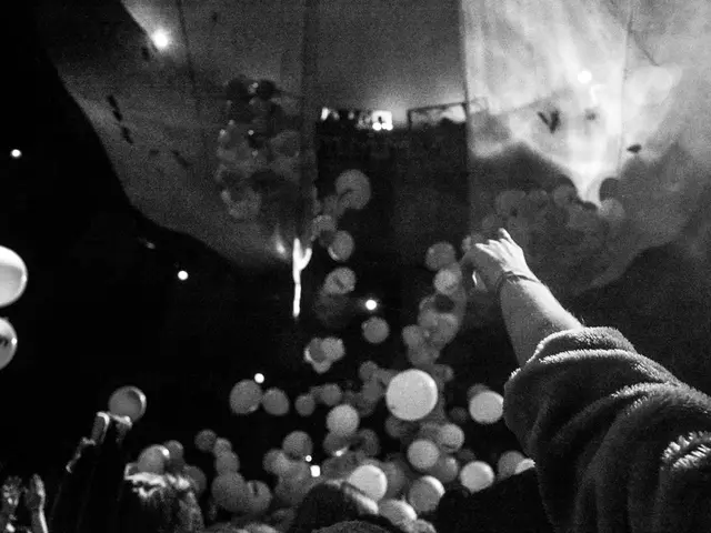 Federal Police in Hamburg receive mysterious balloon shipments; questioning the connection to the...