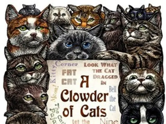 Enthusiasts, rally to the forefront!