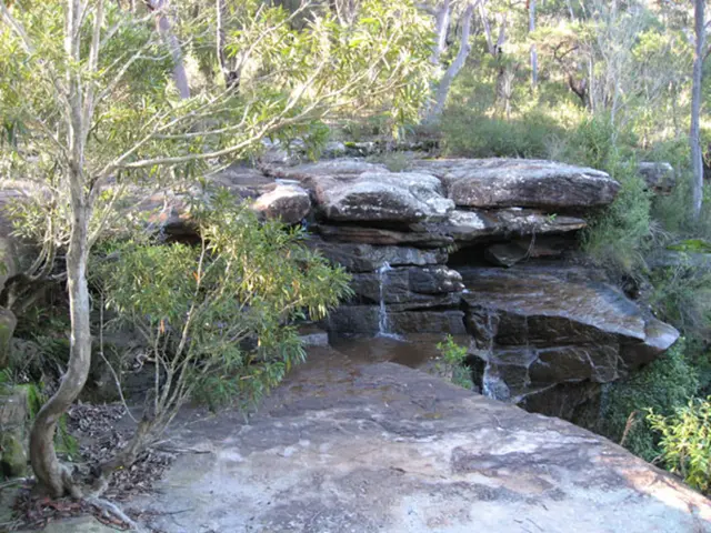 Explore the weekend strolls in Pardaugava – a refreshing change of scenery!