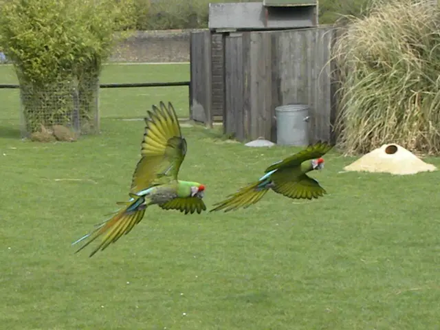 This picture is taken from the outside of the city. In this image, in the middle, we can see two...