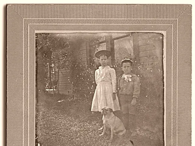 In this picture we can see a photo with photo frame. In the photo we can see a dog and two kids...