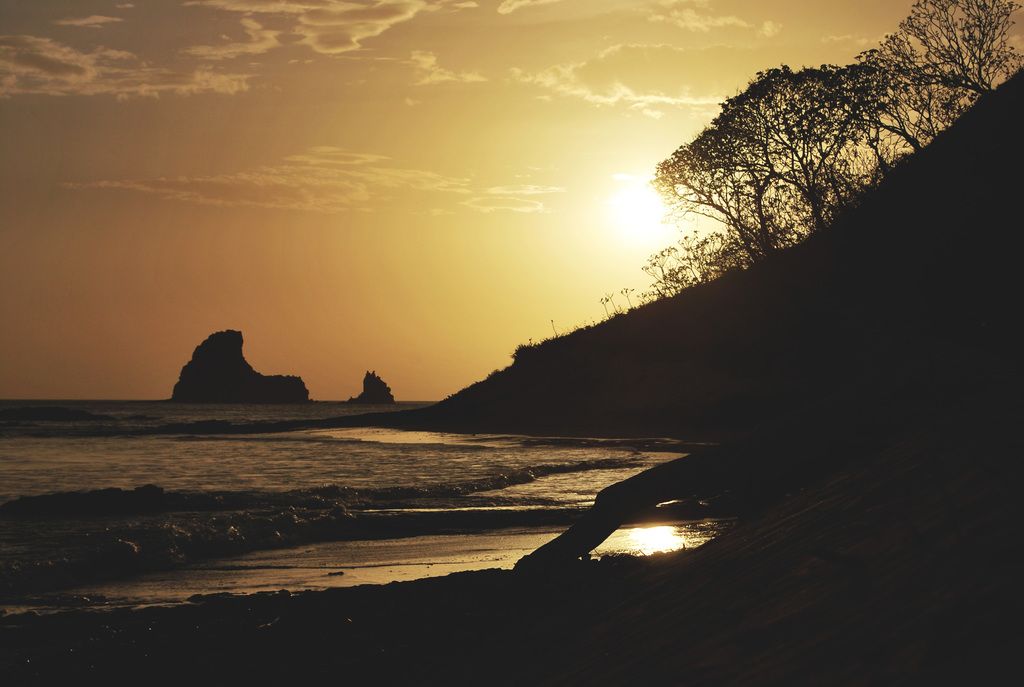 Explore a compiled index of India's national parks, divided by state, and a comprehensive...