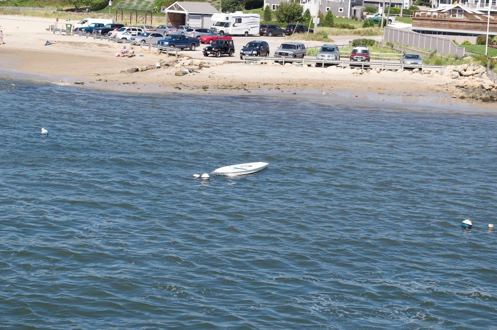 Top 6 Pristine Seaside Parks in Japan's Dynamic Capital, Tokyo!