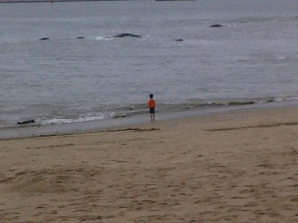 Free Ride for Kids: AIDA Offers Complimentary Boarding for Minors